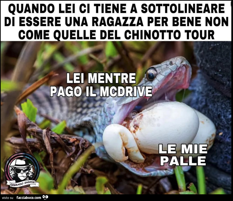 Vaccata