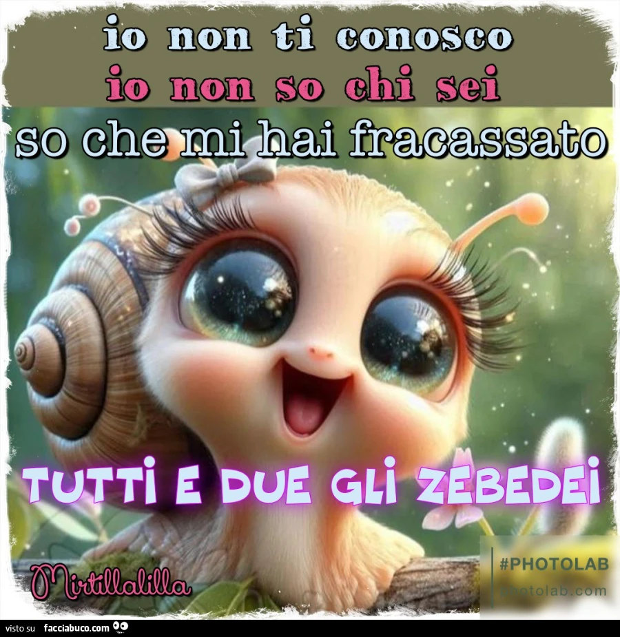 Mi hai fracassato