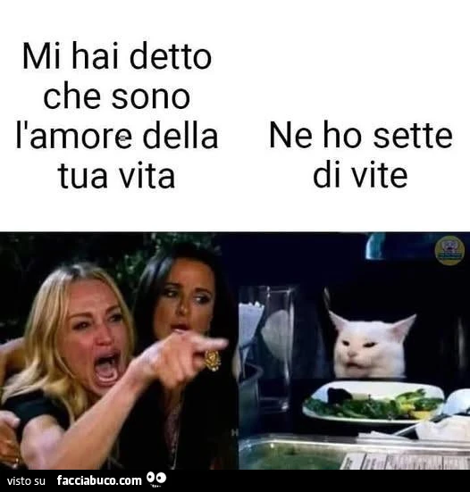 Vaccata
