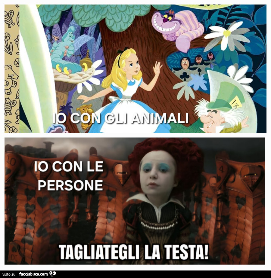 Vaccata