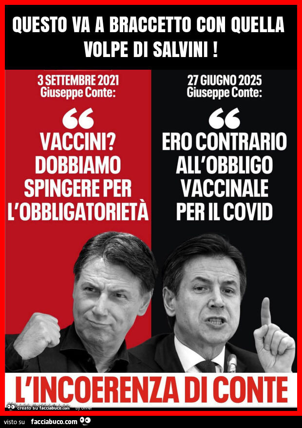 Questo va a braccetto con quella volpe di salvini