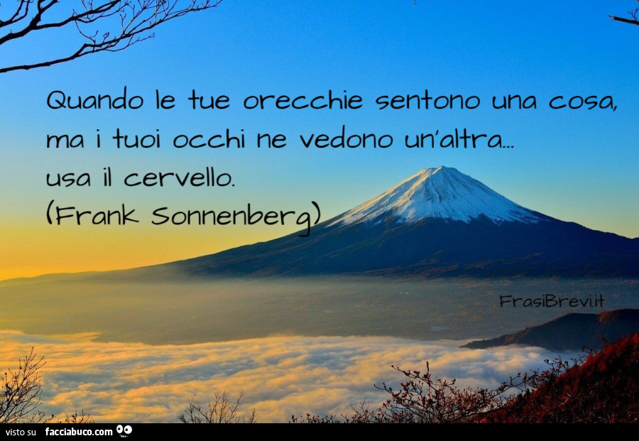 Bugiardo