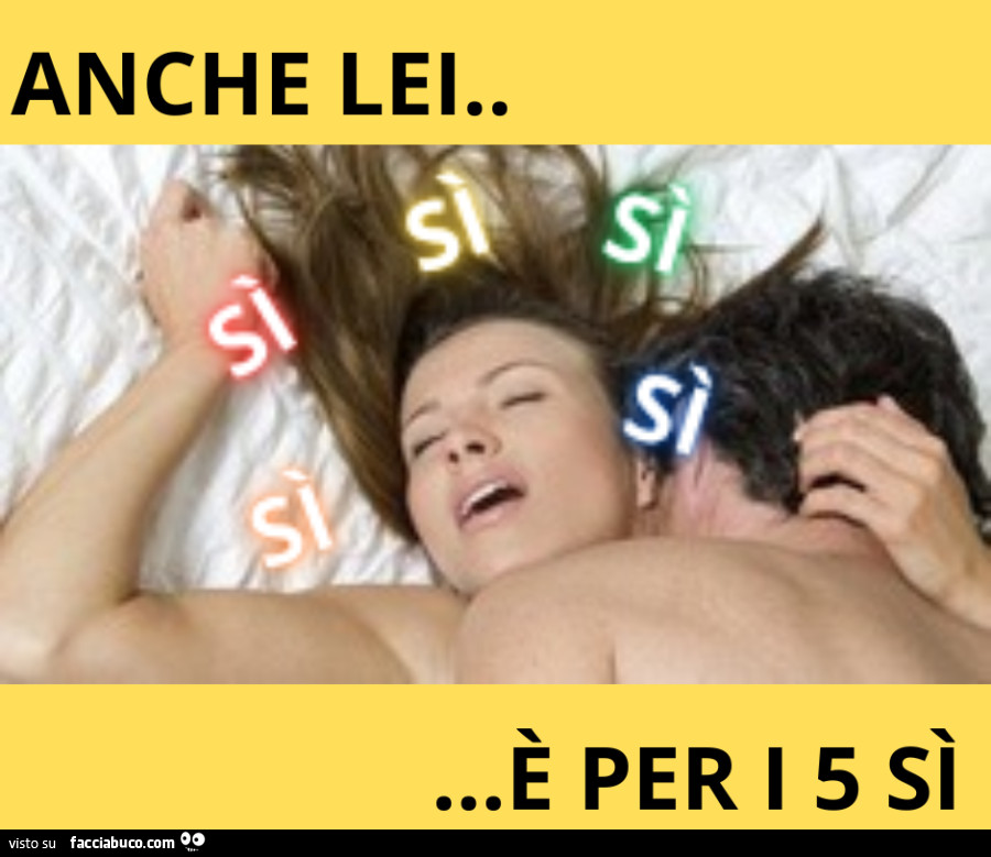 Meme referendum