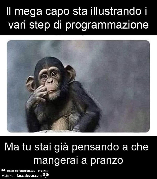 Il mega capo sta illustrando i vari step di programmazione ma tu stai già pensando a che mangerai a pranzo