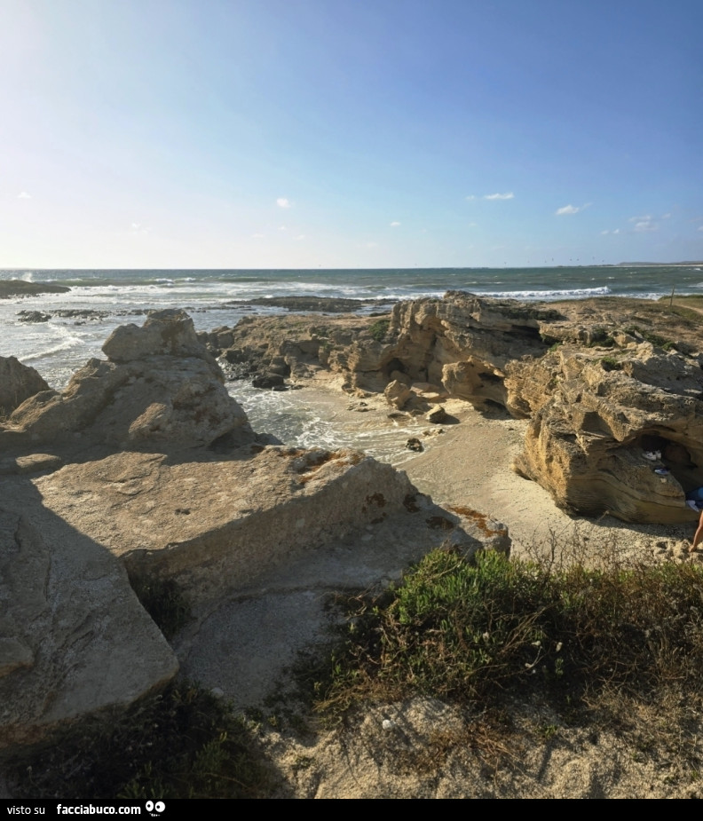 Vaccata