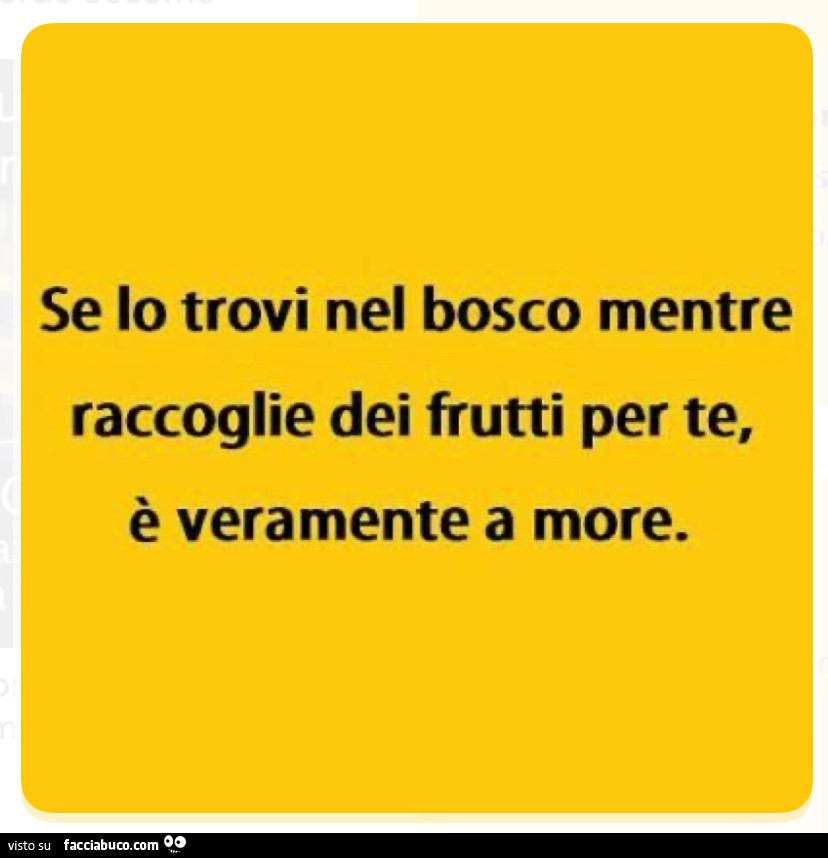 Se lo trovi nel bosco mentre raccoglie dei frutti per te, รจ veramente a more