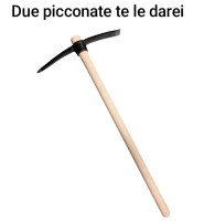 Vaccata
