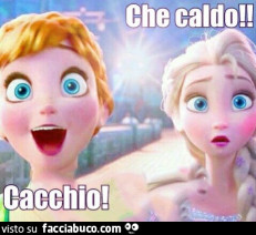 Vaccata