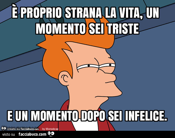 È proprio strana la vita, un momento sei triste e un momento dopo sei infelice