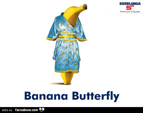 Banana butterfly