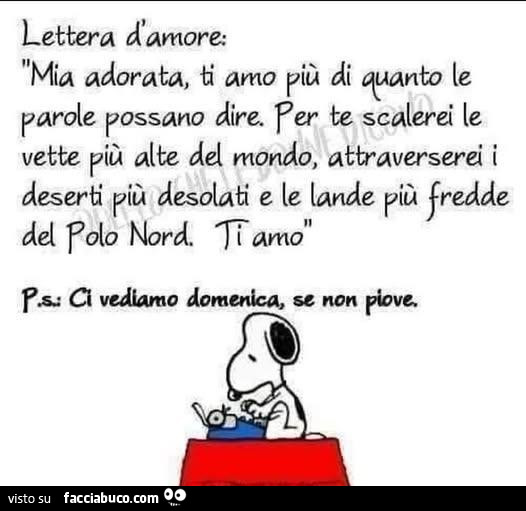 Lettera d'amore: mia adorata, ti amo più di quanto le parole possano dire