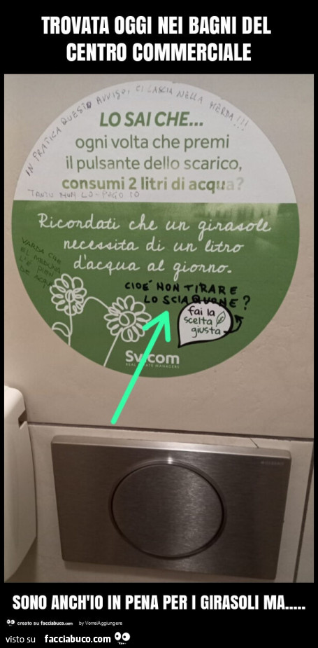 Trovata oggi nei bagni del centro commerciale sono anch'io in pena per i girasoli ma