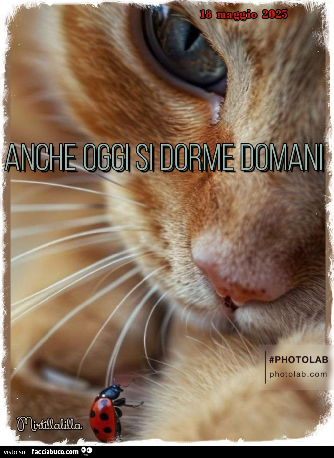 Si dorme domani