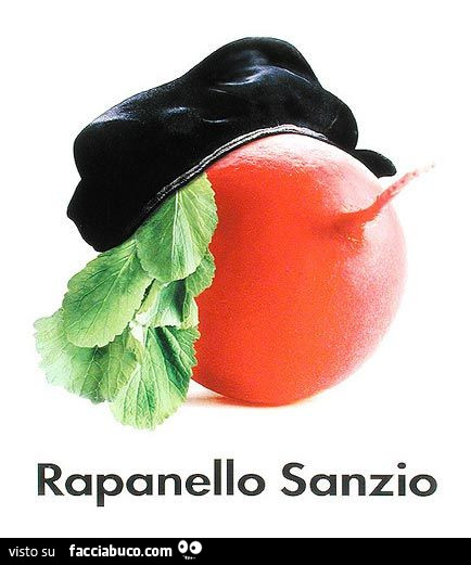 Rapanello Sanzio