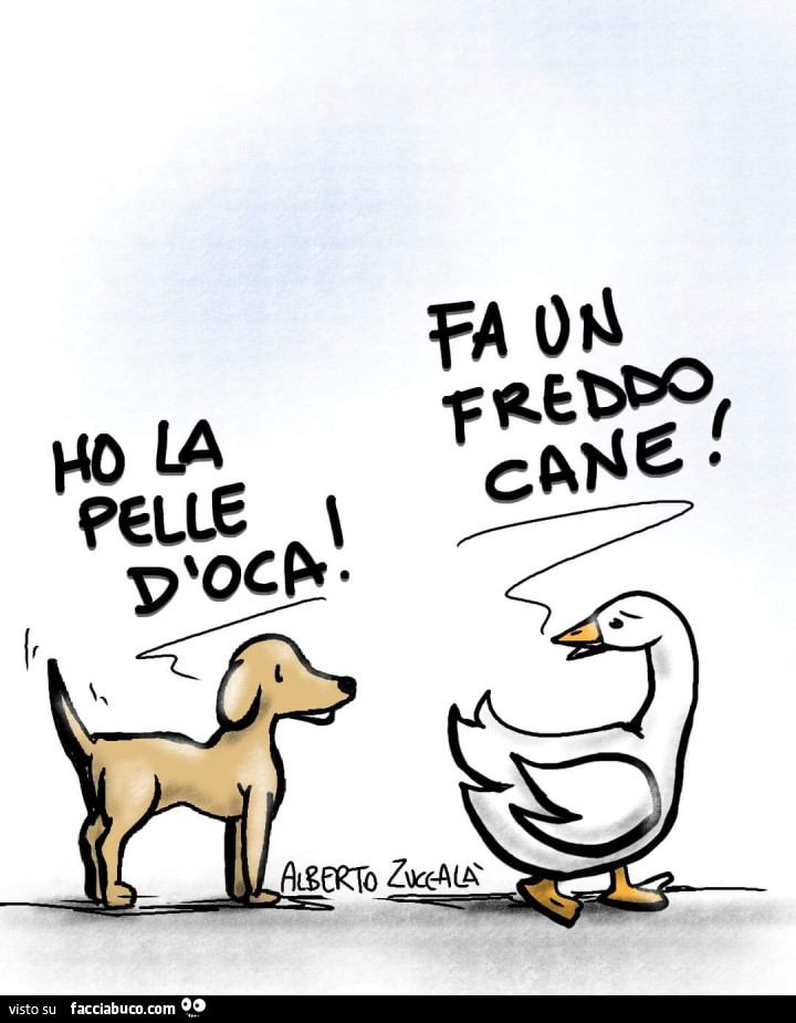 Fa un freddo cane! Ho la pelle d'oca