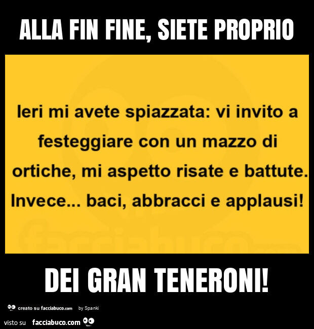 Alla fin fine, siete proprio dei gran teneroni