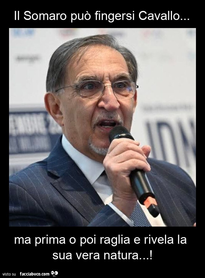 Il somaro può fingersi cavallo… ma prima o poi raglia e rivela la sua vera natura