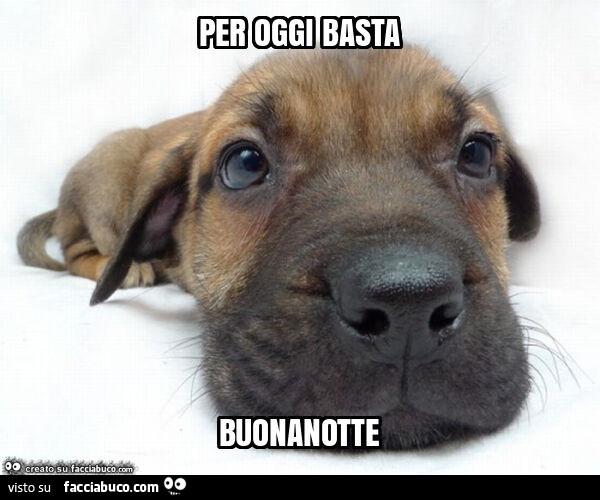 Per oggi basta buonanotte