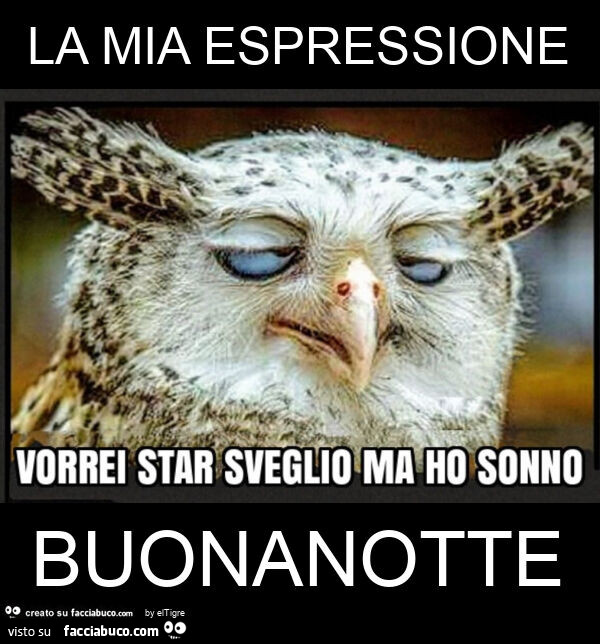 La mia espressione buonanotte