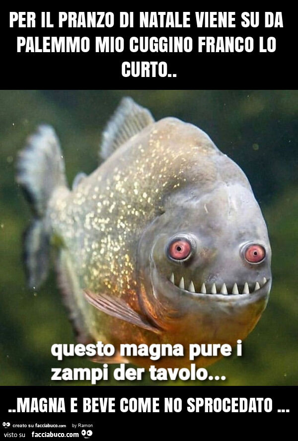Per il pranzo di natale viene su da palemmo mio cuggino franco lo curto… magna e beve come no sprocedato