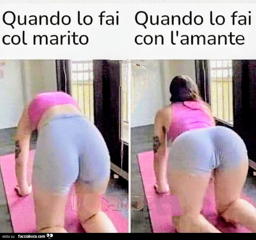 Pecora