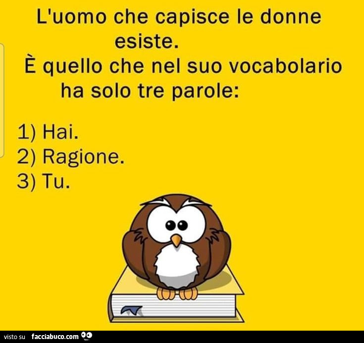 L'uomo che capisce le donne esiste. È Quello che nel suo vocabolario ha solo tre parole: hai ragione tu