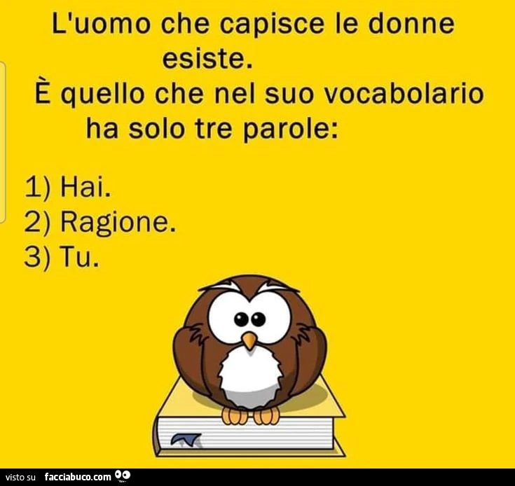L'uomo che capisce le donne esiste. È Quello che nel suo vocabolario ha solo tre parole: hai ragione tu