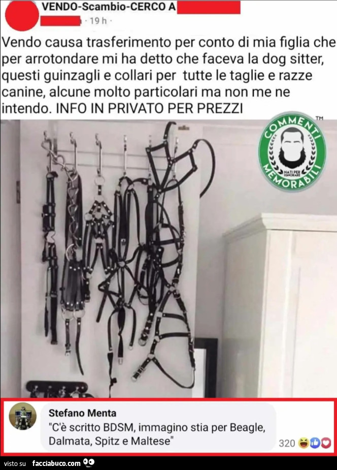 Commenti memorabili vendo causa trasferimento per conto di mia figlia che per arrotondare mi ha detto che faceva la dog sitter questi guinzagli e collari per tutte le taglie e razze canine bdsm