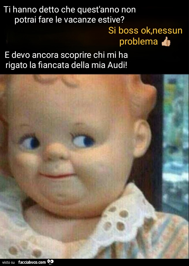 Vaccata
