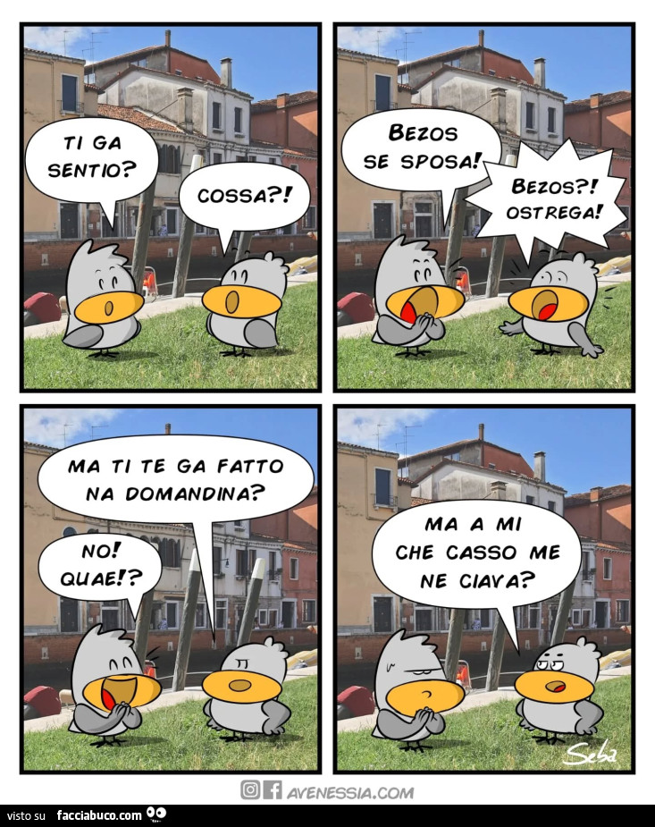 Vaccata
