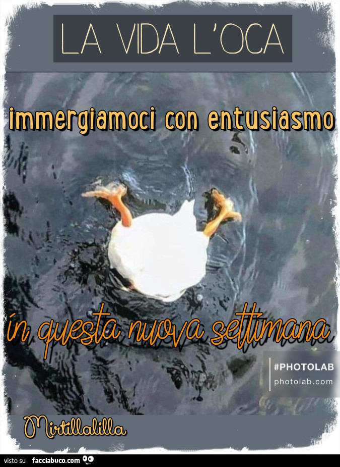 L'entusiasmo di una nuova settimana