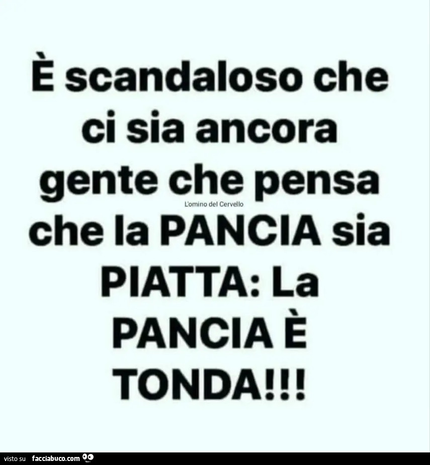 È scandaloso che ci sia ancora gente che pensa che la pancia sia piatta: la pancia è tonda