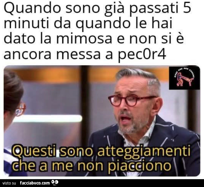 Vaccata
