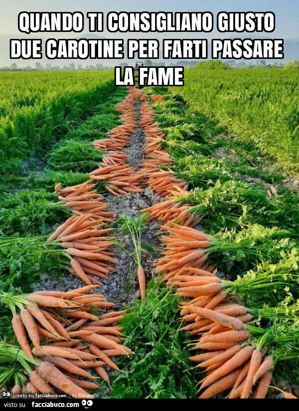 Quando ti consigliano giusto due carotine per farti passare la fame
