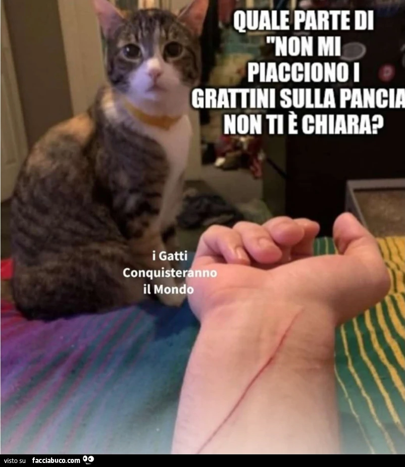 Vaccata