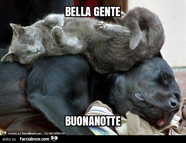 Bella gente buonanotte