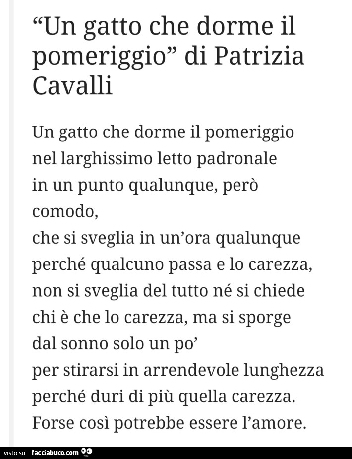 Un gatto che dorme il pomeriggio