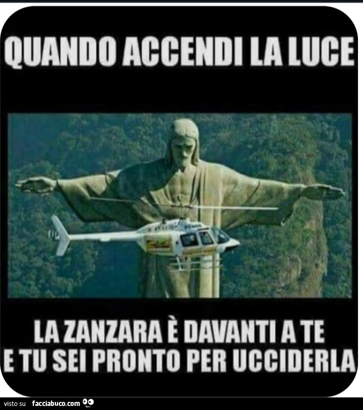 Vaccata
