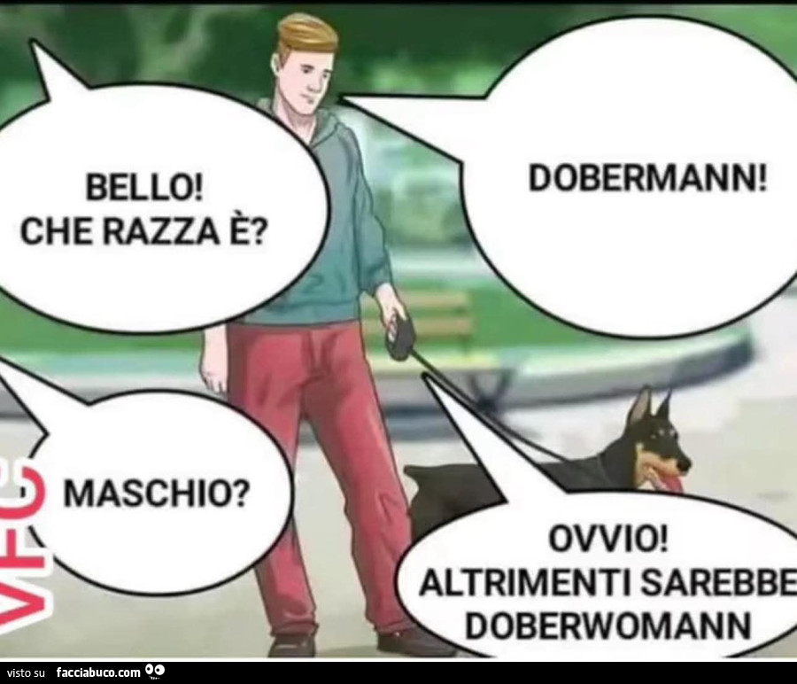 Vaccata