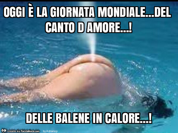 Oggi è la giornata mondiale… del canto d amore… ! Delle balene in calore