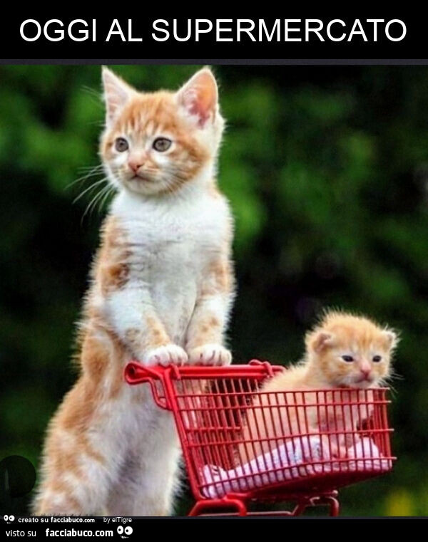 Oggi al supermercato
