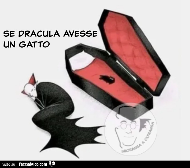 Se Dracula avesse un gatto