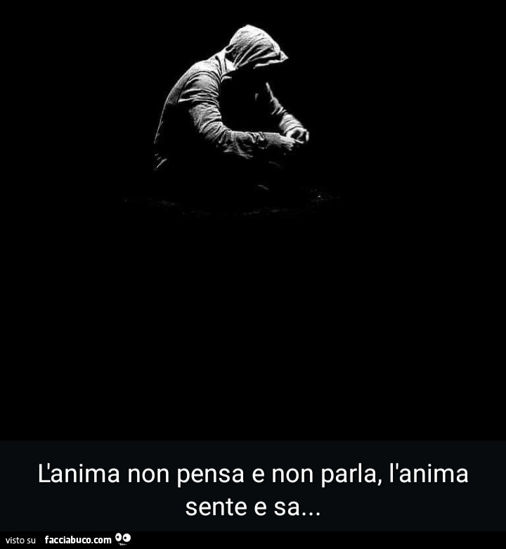 L'anima non pensa e non parla, l'anima sente e sa…