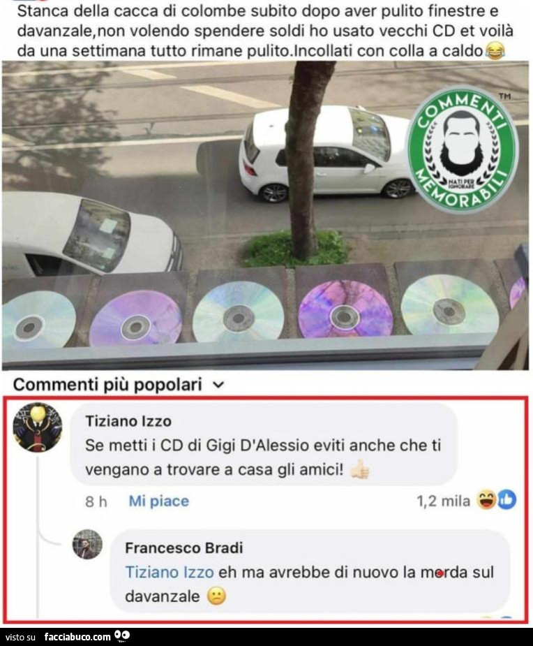 Vaccata