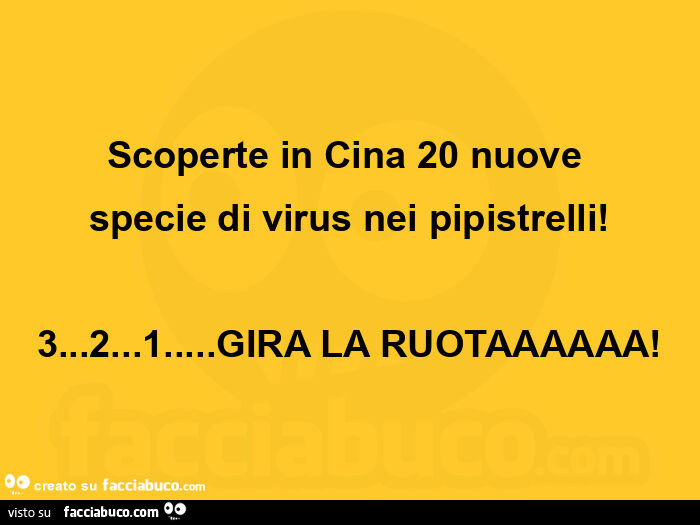 Scoperte in cina 20 nuove specie di virus nei pipistrelli! 3… 2… 1… gira la ruotaaaaaa