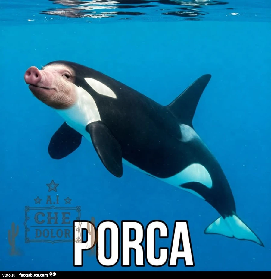 Porca