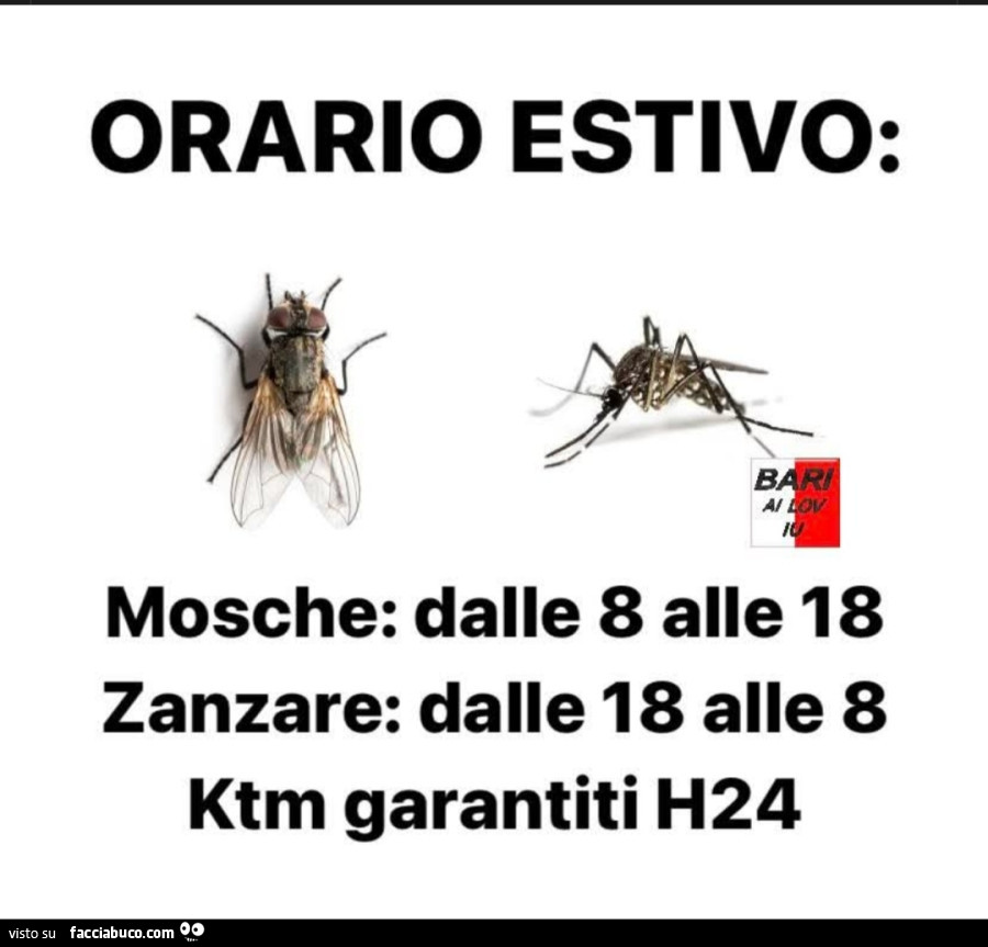 Orario estivo: mosche: dalle 8 alle 18 zanzare: dalle 18 alle 8 ktm garantiti h24