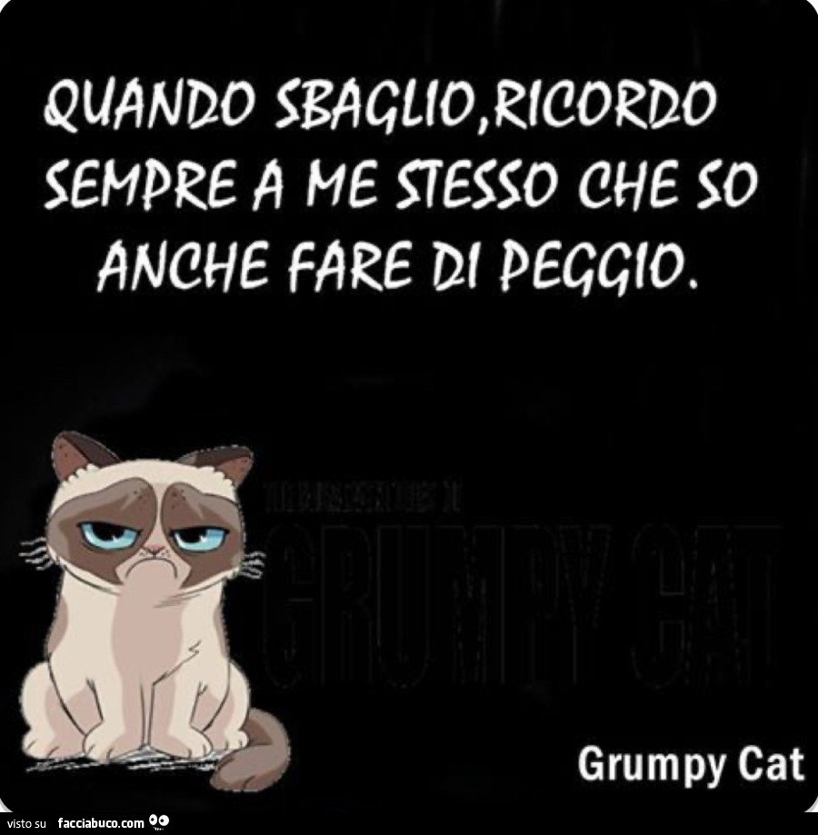 Quando sbaglio, ricordo sempre a me stesso che so anche fare di peggio