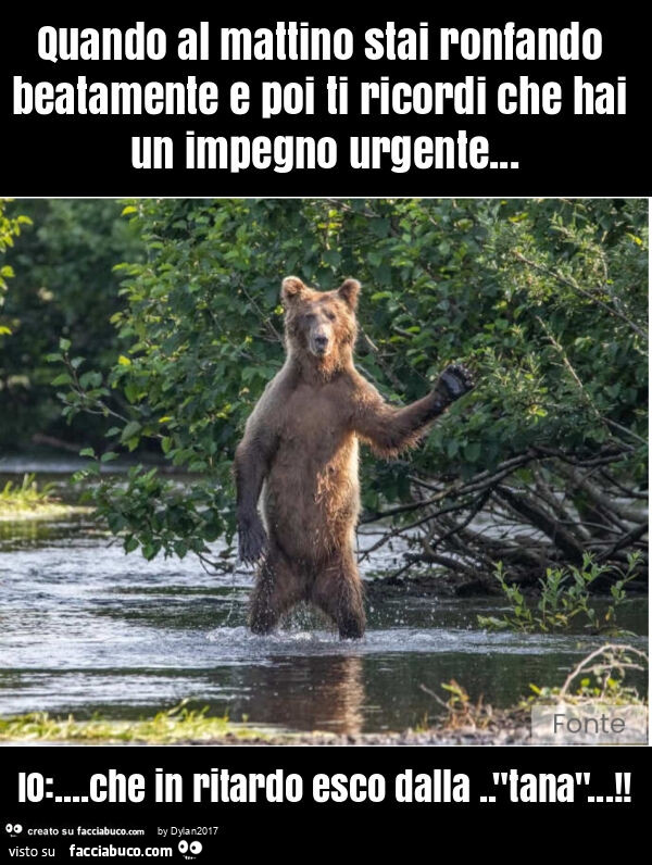 Quando al mattino stai ronfando beatamente e poi ti ricordi che hai un impegno urgente… io: … che in ritardo esco dalla. "Tana"