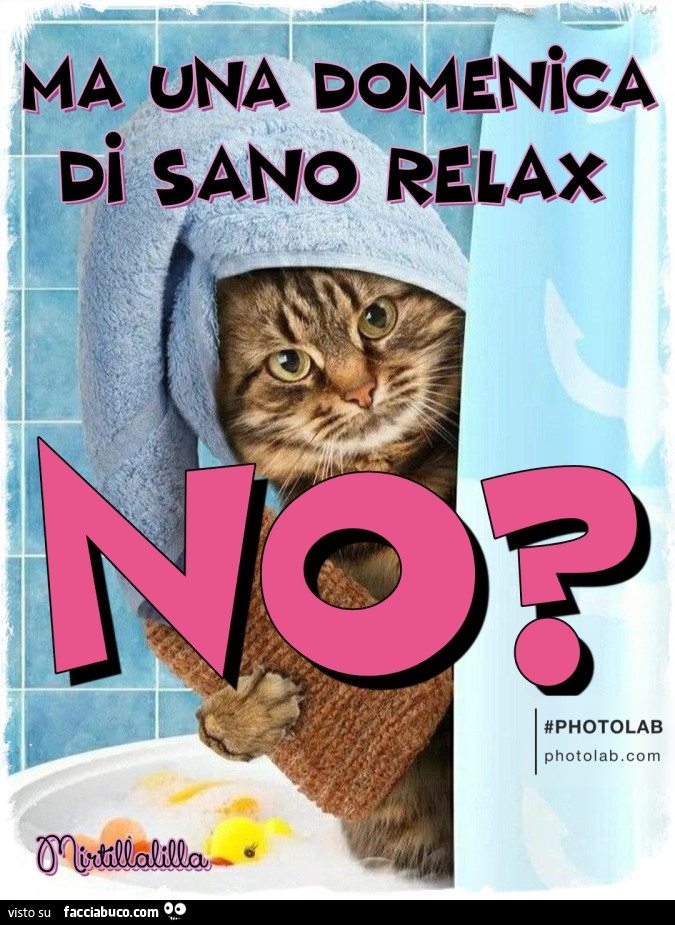 Sano relax domenicale